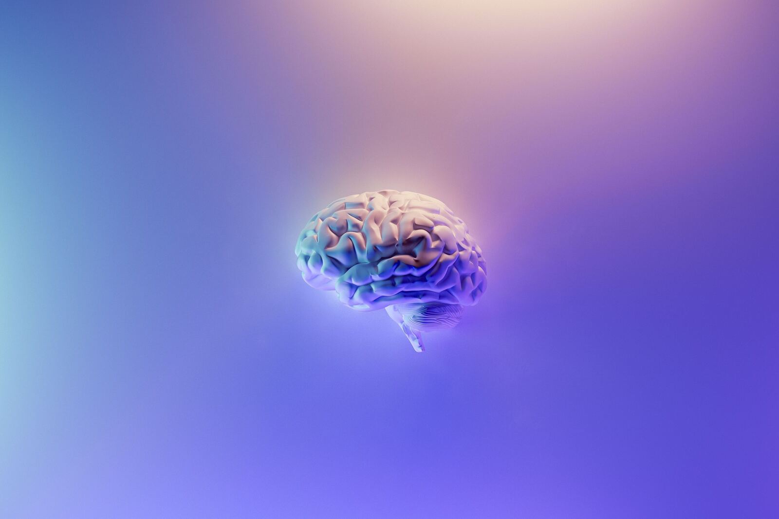 ../_images/brain.jpeg